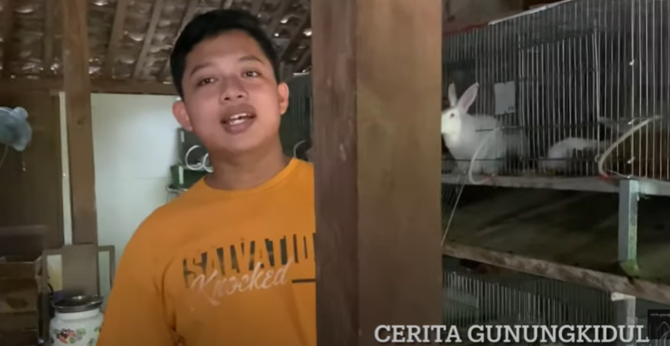 siswa smp asal gunungkidul hasilkan jutaan rupiah per bulan dari beternak kelinci