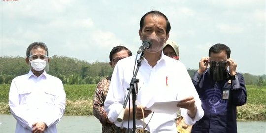 Jokowi Sebut Penanaman Mangrove Harus Dilakukan untuk Antisipasi Perubahan Iklim