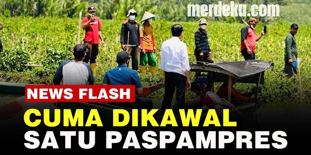 VIDEO: Jokowi Mendadak Seberangi Sungai di Cilacap, Hanya Dikawal Satu Paspampres