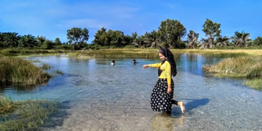 Mengunjungi Pantai Kodok di Langkat, Rawa dengan Air Jernih yang Jadi Objek Wisata