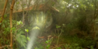 Viral Ada Villa Mewah di Tengah Hutan Gunung Salak, Begini Faktanya