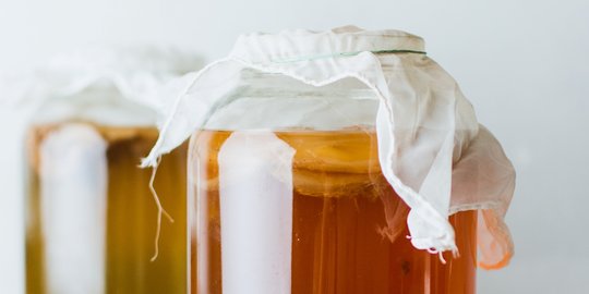 Mengenal Kombucha: Bahan, Manfaat, dan Cara Membuatnya