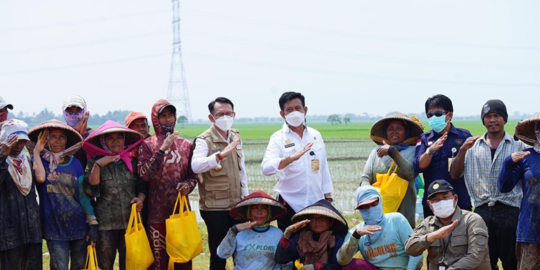 perkuat peran sdm pertanian untuk tingkatkan produksi pertanian rev1