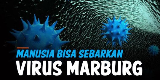 Wabah Virus Marburg Tak Kalah Bahaya dari Corona, Kenali Penyebab dan Gejalanya