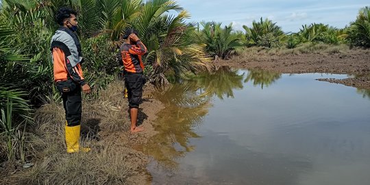 Pencari Udang di Paser Hilang Diterkam Buaya