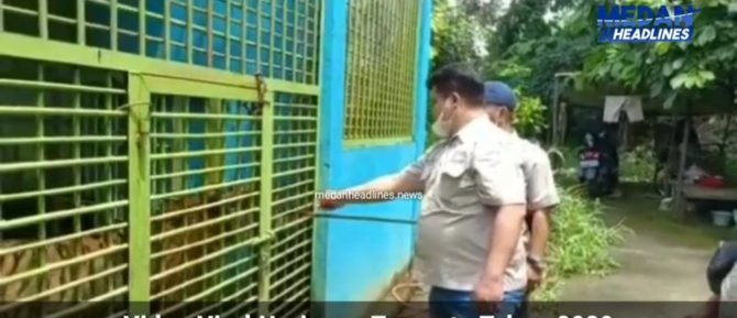 sempat viral harimau di medan zoo kurus dan makan rumput begini kondisinya kini