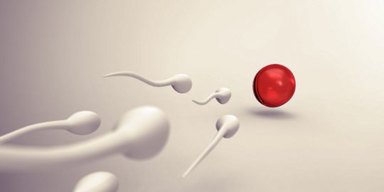 Alami Kasus Gangguan Kesuburan, Sperma Harus yang Diperiksa Pertama Kali