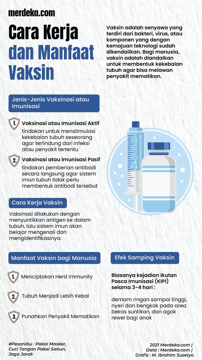 infografis vaksin