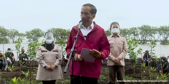 Jokowi Harap Rehabilitasi Mangrove Meningkatkan Ekonomi Masyarakat Pantai Raja Kecik