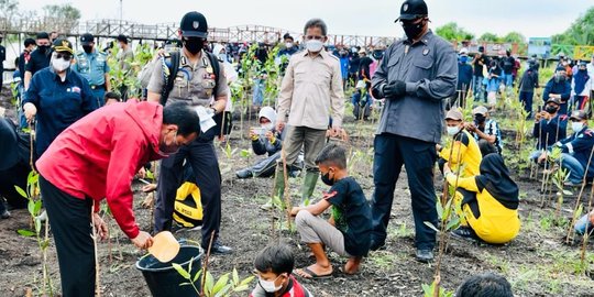 Menteri LHK: Kerusakan Mangrove Lebih Dari 600 Ribu Hektare