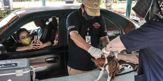 Vaksinasi Rabies Drive Thru di Masa Pandemi