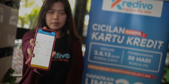 mantan menko ekonomi dan ketum kadin diangkat menjadi komisaris kredivo