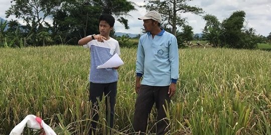 petani milenial