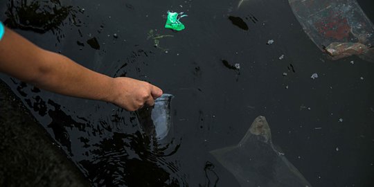 Kondisi Air Laut di Muara Angke yang Tercemar Paracetamol