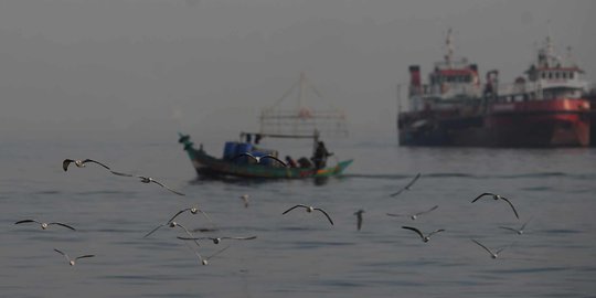 BRIN Beberkan Kemungkinan Sumber Kandungan Parasetamol di Perairan Teluk Jakarta