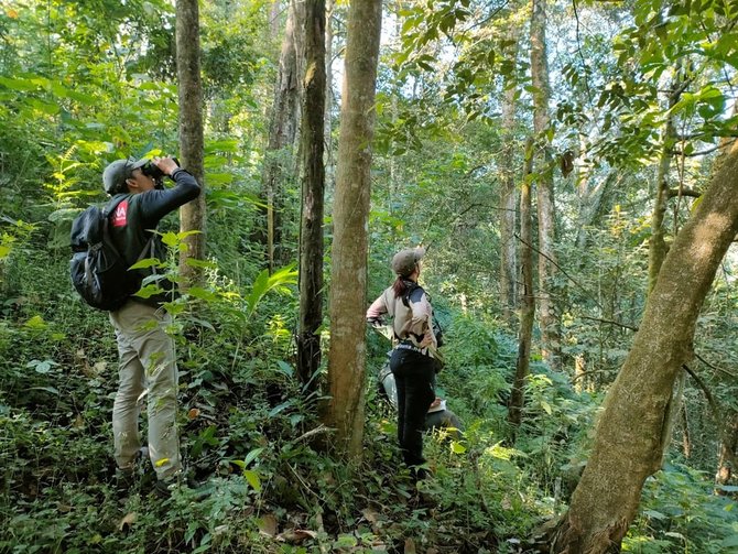 9 jenis burung dilindungi ditemukan di hutan ngantang