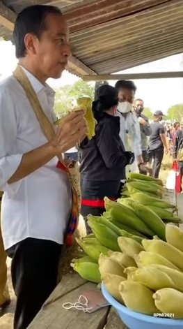 momen presiden jokowi makan jagung rebus sangat lahap