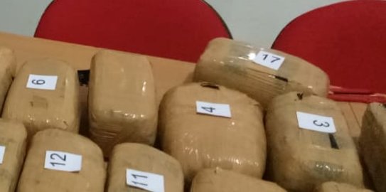 279 Kg Ganja Asal Medan Hendak Diselundupkan ke Jakarta, 3 Pelaku Ditangkap Polisi