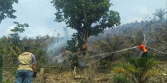 4 Hektare Lahan di Kampar Terbakar, TRC dan Helikopter Bantu Padamkan Api