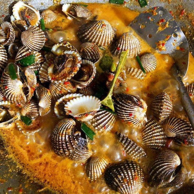 resep kerang dara