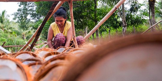 Mengintip Produksi Kopra Putih Selayar, Komoditas Ekspor Unggulan Sulawesi