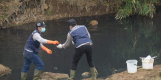 Pabrik Tepung di Karawang Dihentikan Sementara Setelah Dinilai Mencemari DAS Cilamaya