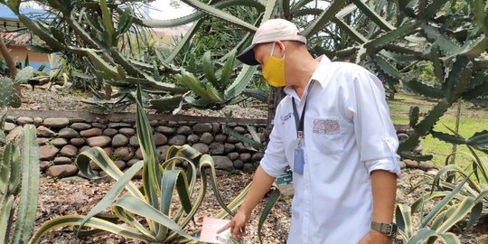 5.000 Tumbuhan di Kebun Raya Bogor Diberi 'KTP'