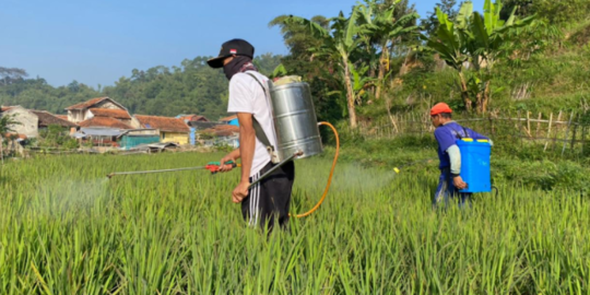 Berharap Petani Tak Terjerat Rentenir Lagi, Gubernur Sumut Lakukan Ini