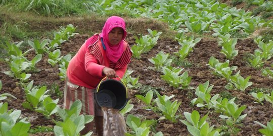 Kenaikan Tarif Cukai Rokok Diminta Pertimbangkan Semua Aspek