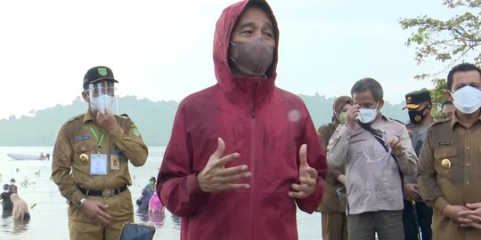 Tanam Mangrove di Badung, Jokowi Harap Bisa Meningkatkan Produksi Hasil Laut