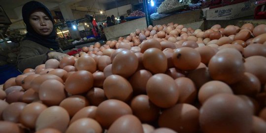 Harga Telur di Papua Termahal se-Indonesia, Dibanderol Rp42.000 per Kg