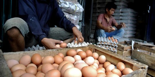 Pemerintah Diminta Cari Solusi Turunkan Harga Telur di Papua Sebelum Natal