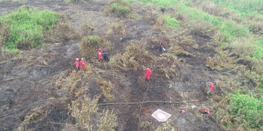 Satgas Gabungan Padamkan 5 Hektar Lahan Terbakar di Indragiri Hulu