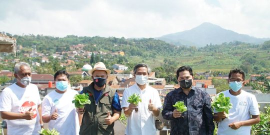 erick thohir tinjau pemanfaatan lahan kosong masjid jadi kebun organik