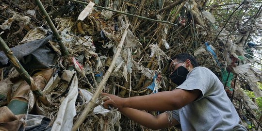 Aksi Membersihkan Pohon dari Jerat Sampah Plastik