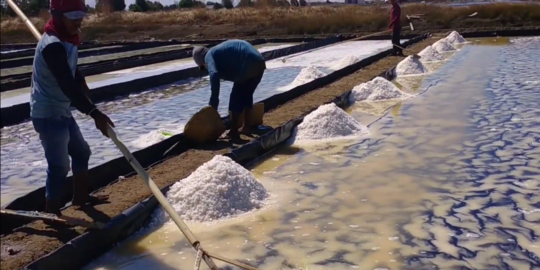 Imbas Abrasi Laut, Harga Garam Petani Cirebon Anjlok Jadi Rp500 per Kilo