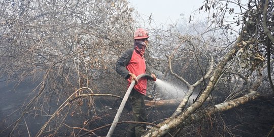 KLHK Catat 2 Ribu Hektare Lahan di Sumsel Terbakar Selama 2021