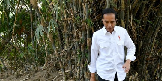 Presiden Jokowi Tak Mau Asing Kuasai Smelter Freeport