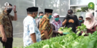 Inspiratif, Gerakan Pertanian Urban di Kota Bandung Ini Diapresiasi Internasional