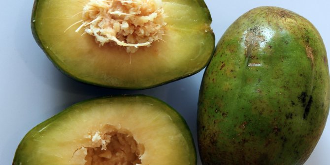 5 Manfaat Sehat yang Bisa Diperoleh di Balik Rasa Manis dan Asam Kedondong