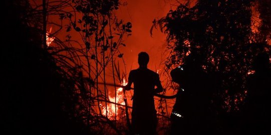 Kebakaran 7 Hektar Hutan di Bireuen Provinsi Aceh Berhasil Padam, Tak Ada Korban Jiwa