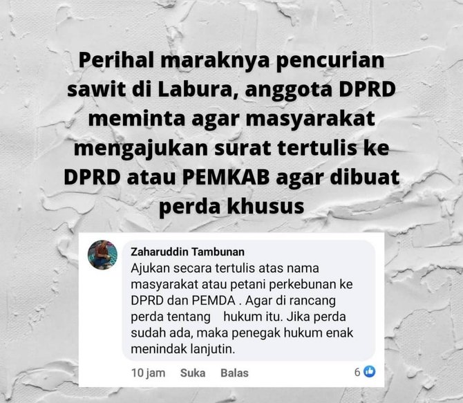 marak pencurian kelapa sawit bikin warga di labura resah begini tanggapan dprd