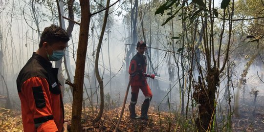 Karhutla di Ogan Ilir Meningkat dalam Sepekan