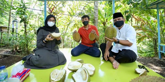 Sudah Panen, Durian Boneng asal Banyuwangi Mulai Diburu Pembeli