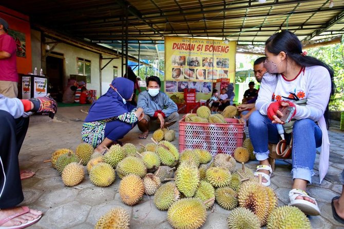 durian boneng asal banyuwangi mulai diburu pembeli