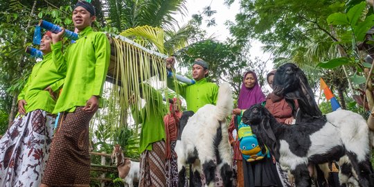 Uniknya Hajatan Kambing dalam Tradisi Baritan Kulon Progo