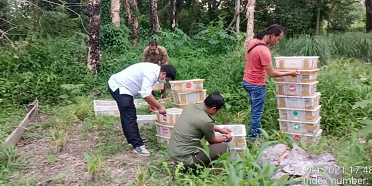 Angkut Ratusan Burung Tanpa Dokumen, Sopir di Kampar Diamankan BBKSDA