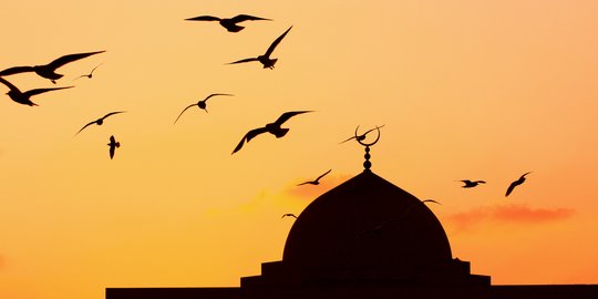 Kata-Kata Motivasi Islam di Kehidupan Sehari-hari, Sebagai Penyejuk Hati