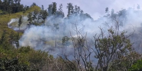 25 Hektare Hutan Lindung di Aceh Tengah Terbakar
