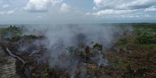 20 Hektare Lahan Gambut di Nagan Raya Terbakar, Petugas BPBD Berjibaku Memadamkan Api